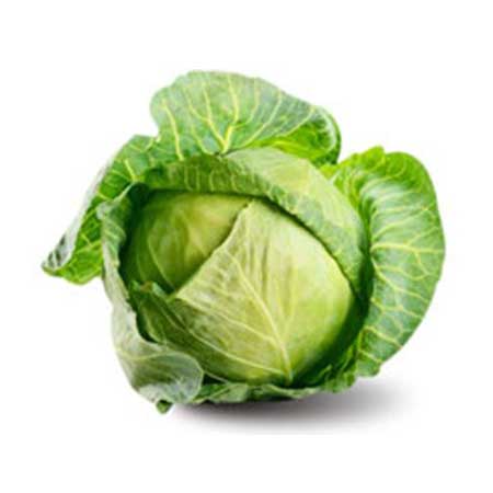 cabbage_img